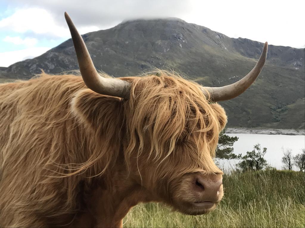 Caledonian Cabin إينفيرغاري المظهر الخارجي الصورة
